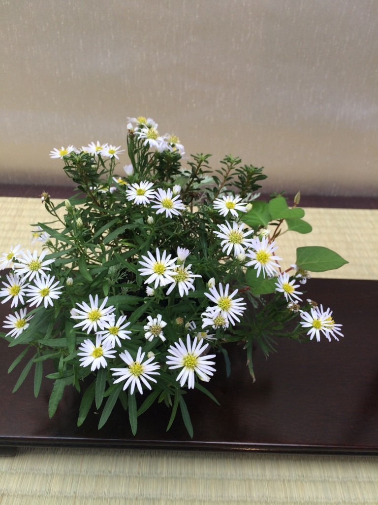 f:id:bonsaichie:20170930015752j:plain f:id:bonsaichie:20170930015752j:plain