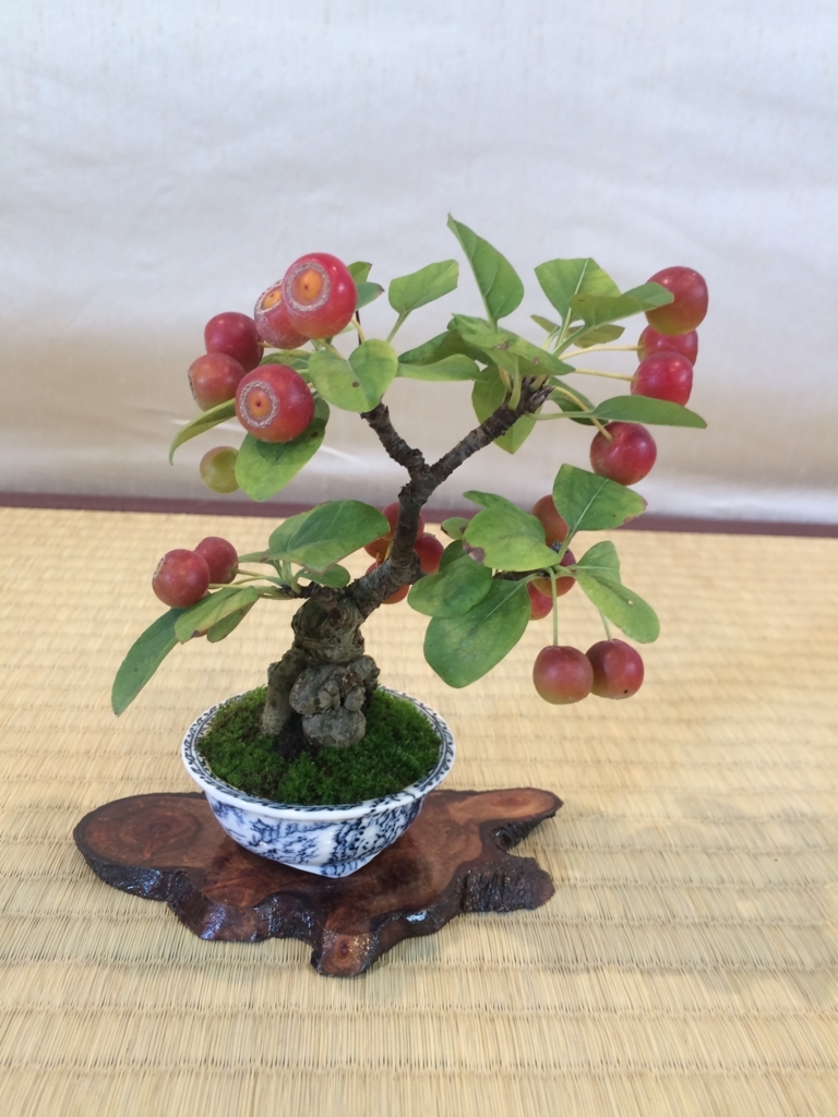 f:id:bonsaichie:20170930015810j:plain f:id:bonsaichie:20170930015810j:plain