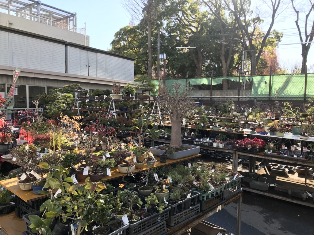 f:id:bonsaichie:20171214234637j:plain