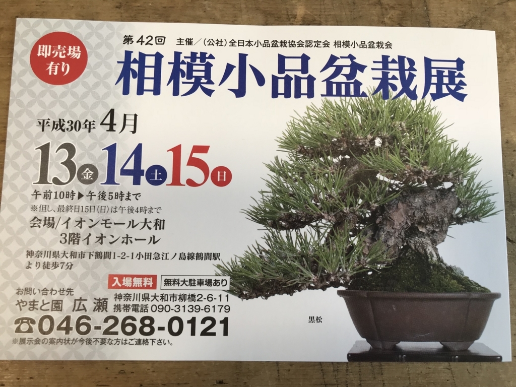盆栽鉢　⑰時代希少小品盆栽展記念鉢竹模様美豊作、瑞穂作織部竹模様2点山野草植木鉢 盆栽鉢 ⑰時代希少小品盆栽展記念鉢竹模様美豊作、瑞穂作織部竹