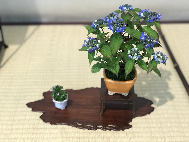 f:id:bonsaichie:20180531214237j:plain