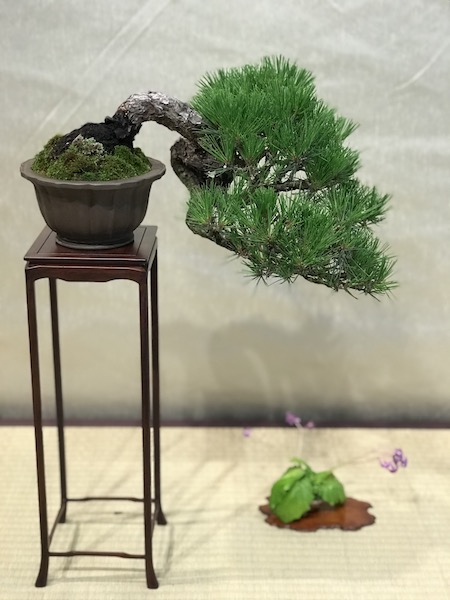 f:id:bonsaichie:20180531214346j:plain