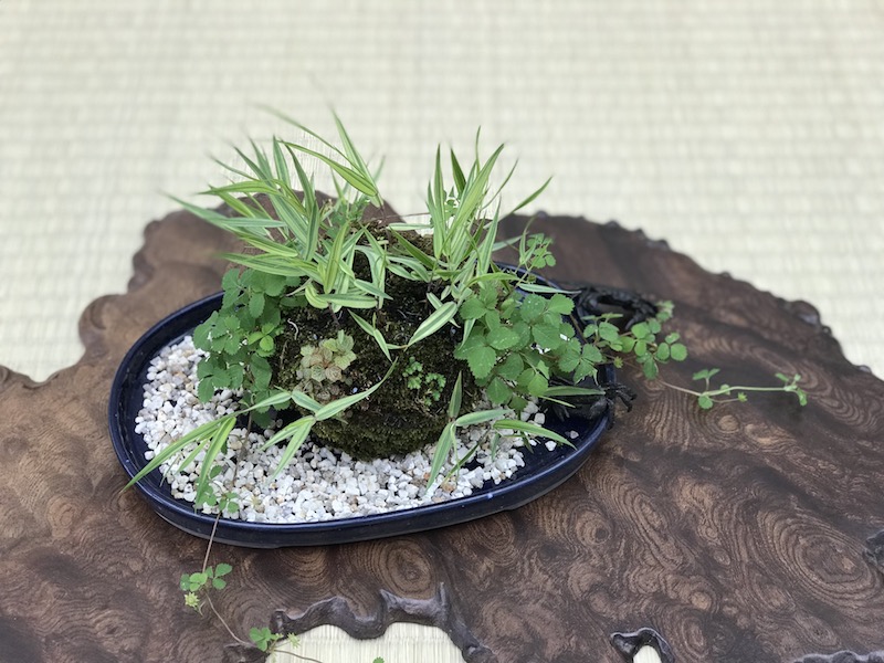 f:id:bonsaichie:20180531214411j:plain