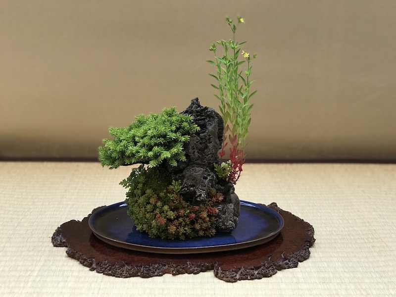 f:id:bonsaichie:20180531214448j:plain