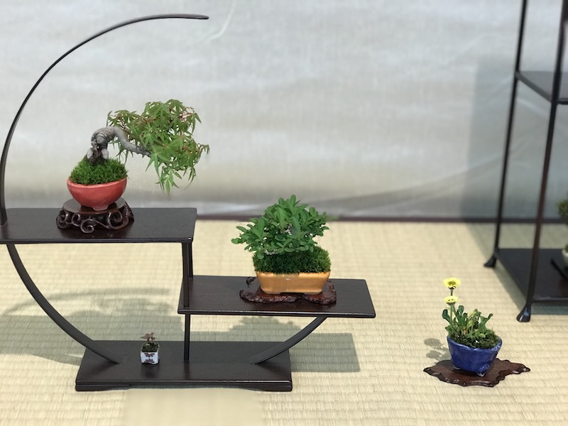 f:id:bonsaichie:20180531214458j:plain