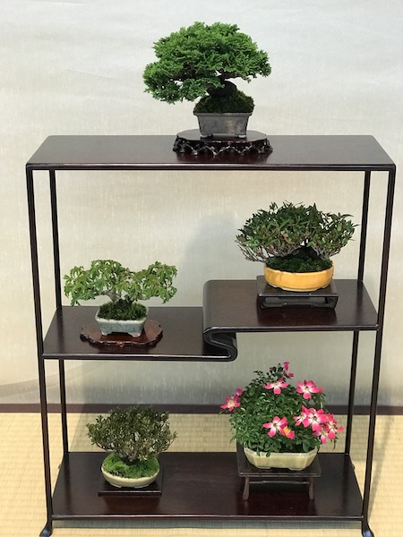f:id:bonsaichie:20180531214503j:plain