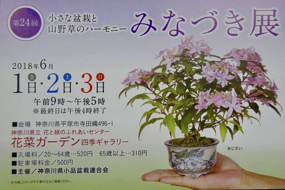 f:id:bonsaichie:20180531215810j:plain