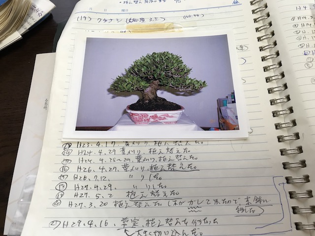 f:id:bonsaichie:20180713231207j:plain