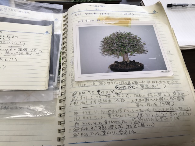 f:id:bonsaichie:20180713231236j:plain