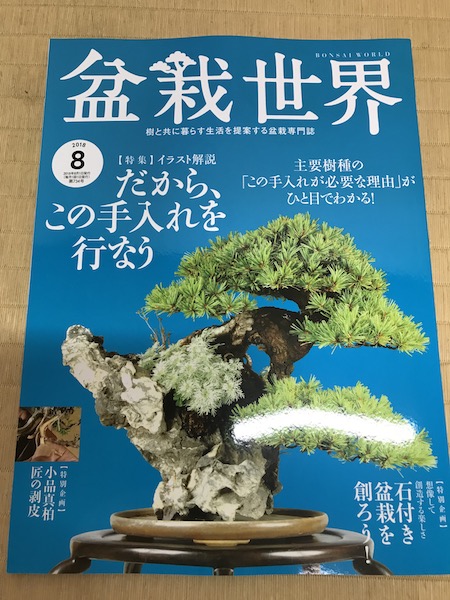 f:id:bonsaichie:20180713232352j:plain