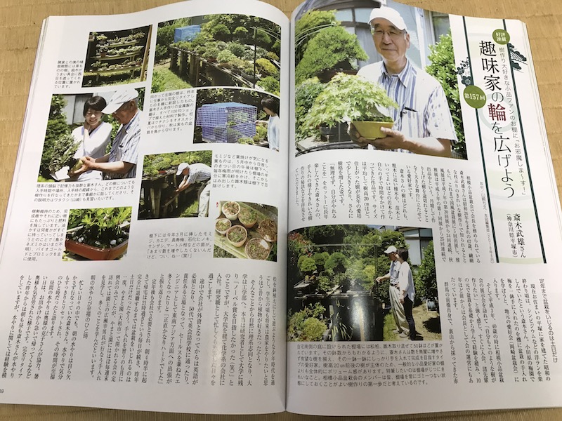 f:id:bonsaichie:20180713232410j:plain