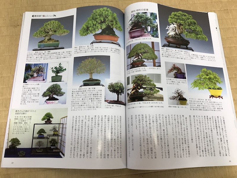 f:id:bonsaichie:20180713232450j:plain