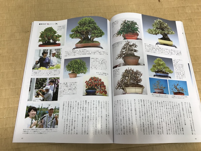 f:id:bonsaichie:20180713232504j:plain