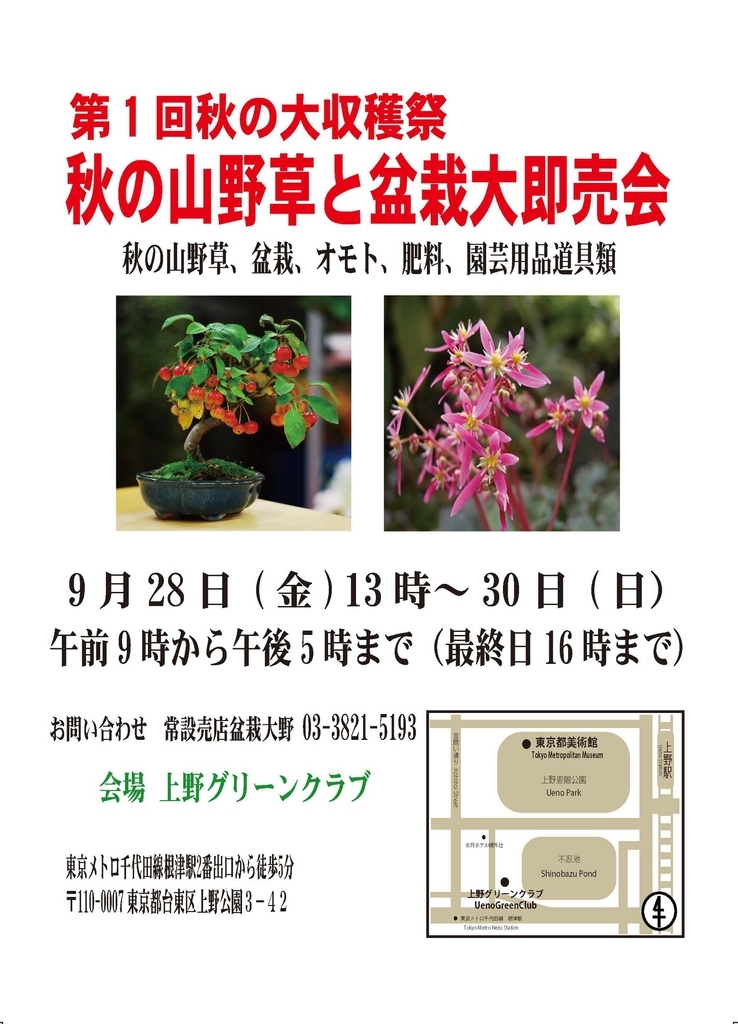 f:id:bonsaichie:20180901205630j:plain