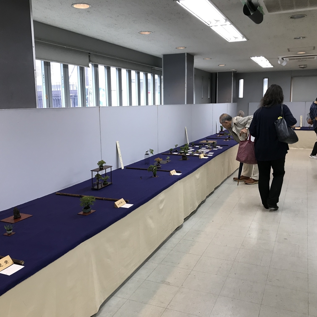 f:id:bonsaichie:20181002150356j:plain