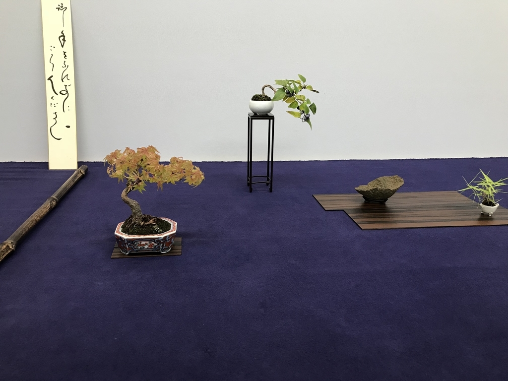 f:id:bonsaichie:20181002150422j:plain
