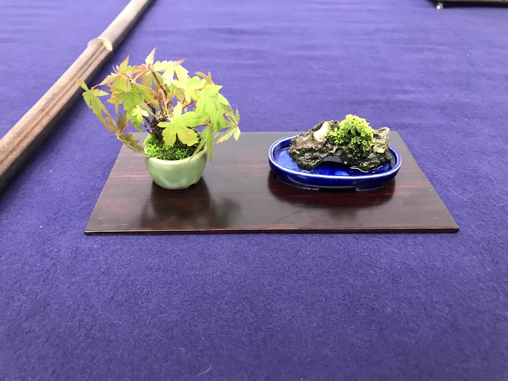 f:id:bonsaichie:20181002150427j:plain