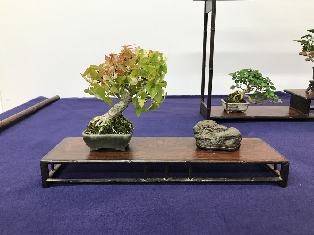 f:id:bonsaichie:20181002150457j:plain