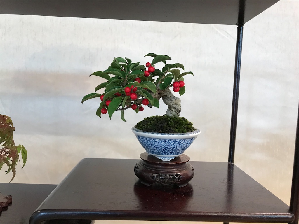 f:id:bonsaichie:20181006100322j:image f:id:bonsaichie:20181006100322j:image