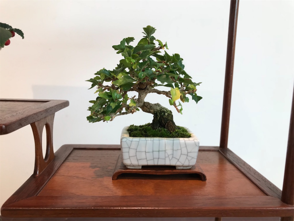 f:id:bonsaichie:20181006100325j:image f:id:bonsaichie:20181006100325j:image