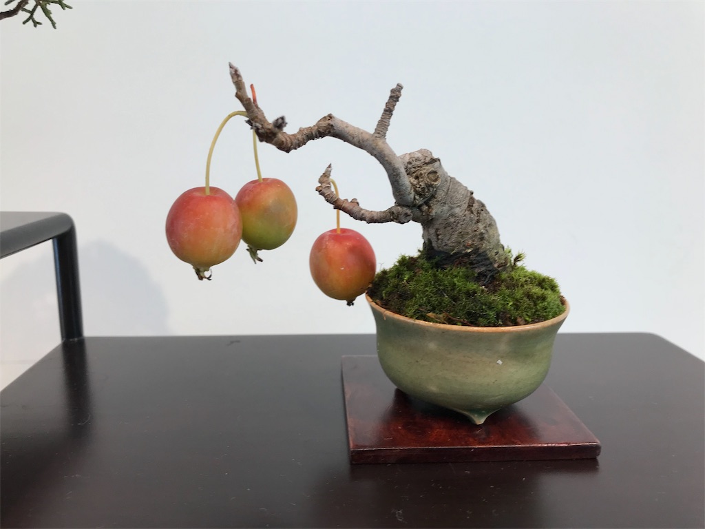 f:id:bonsaichie:20181006100333j:image f:id:bonsaichie:20181006100333j:image