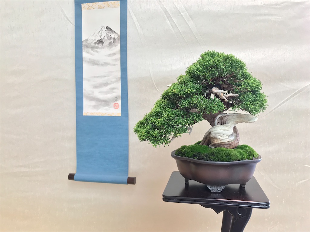 f:id:bonsaichie:20181006100340j:image f:id:bonsaichie:20181006100340j:image