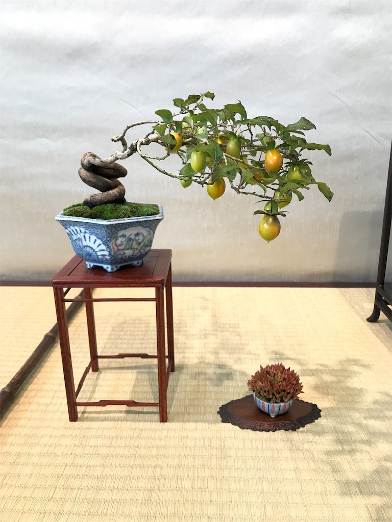 f:id:bonsaichie:20181006100348j:image f:id:bonsaichie:20181006100348j:image