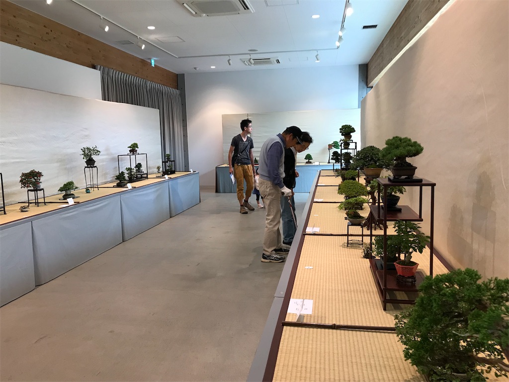 f:id:bonsaichie:20181006100358j:image f:id:bonsaichie:20181006100358j:image