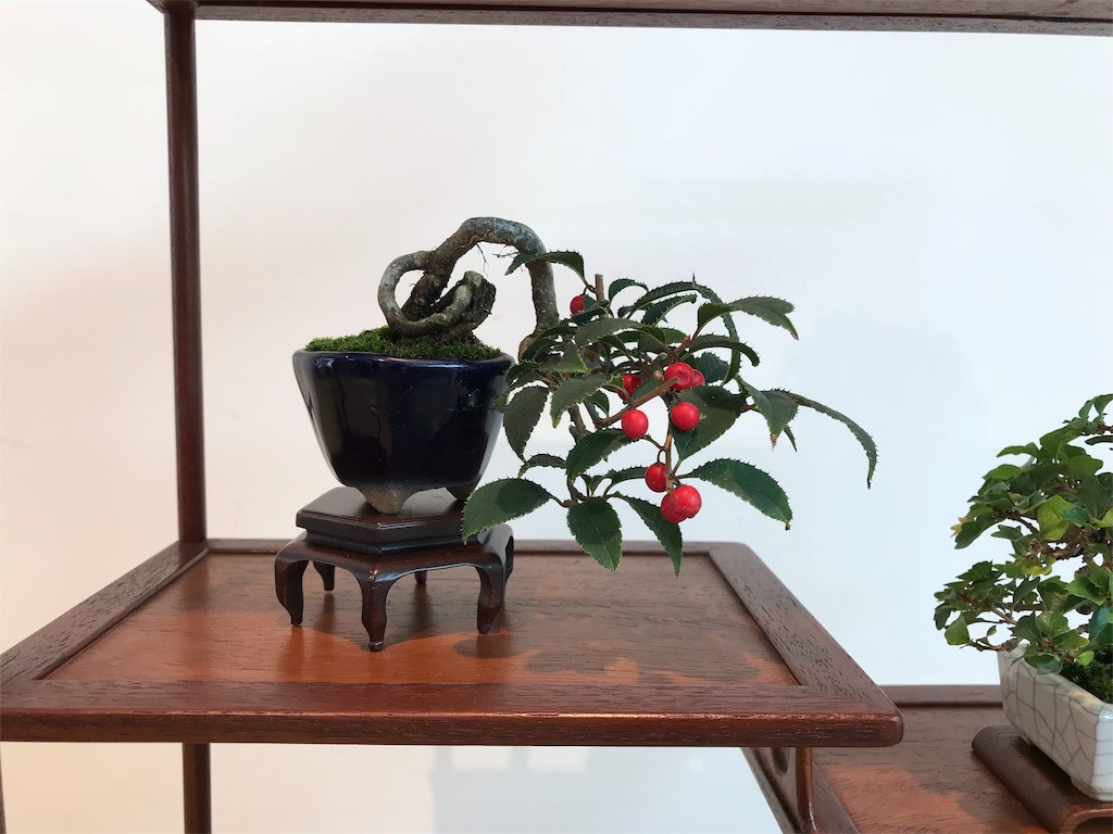 f:id:bonsaichie:20181006100401j:image f:id:bonsaichie:20181006100401j:image