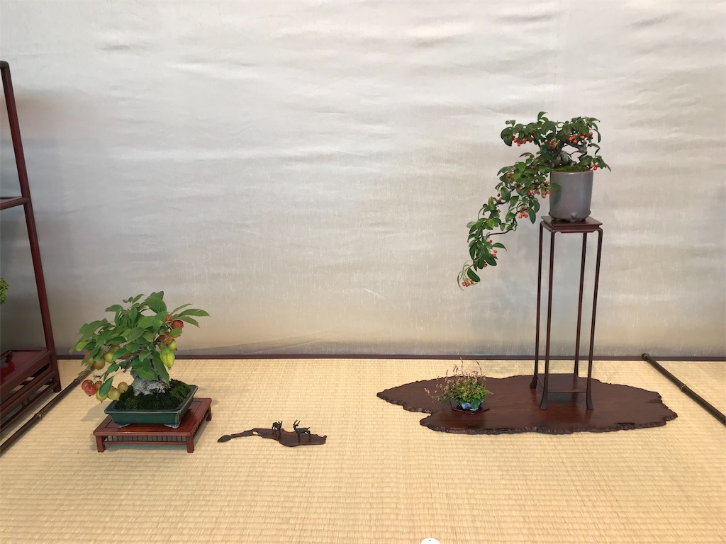 f:id:bonsaichie:20181006100408j:image f:id:bonsaichie:20181006100408j:image