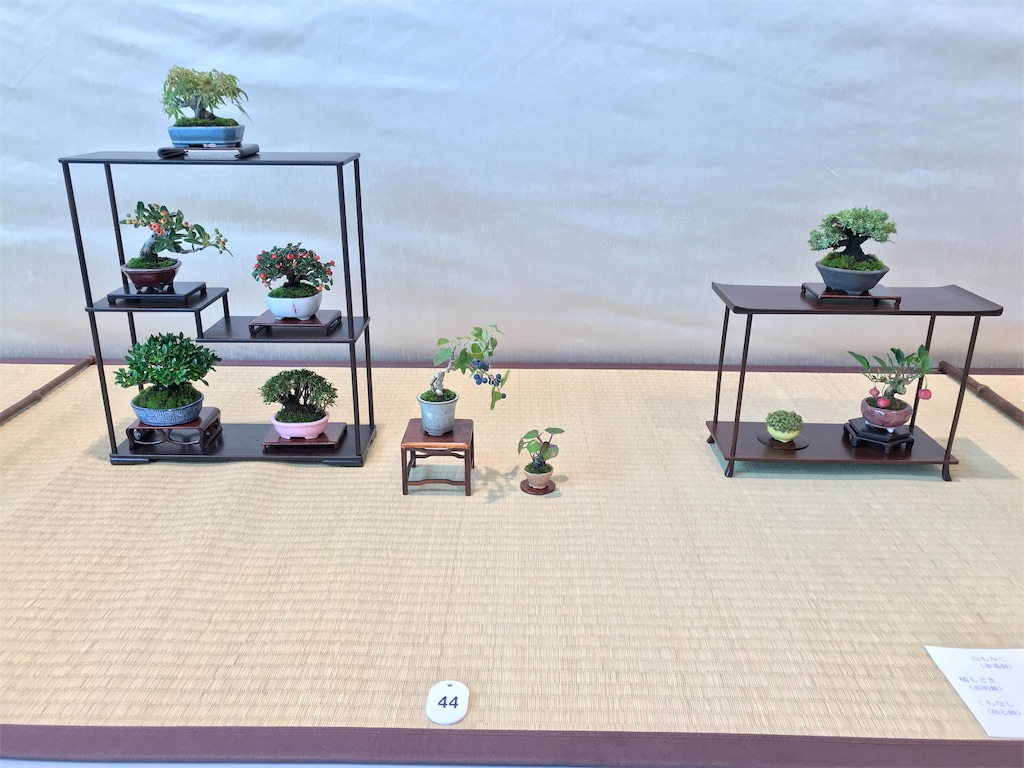 f:id:bonsaichie:20181006100416j:image f:id:bonsaichie:20181006100416j:image