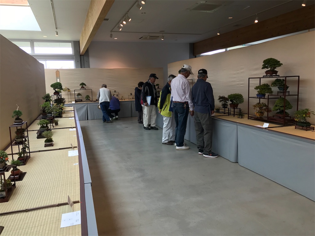f:id:bonsaichie:20181006100419j:image f:id:bonsaichie:20181006100419j:image