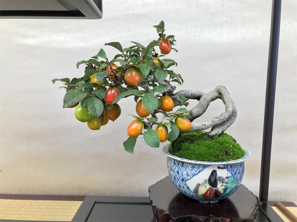 f:id:bonsaichie:20181007095103j:image f:id:bonsaichie:20181007095103j:image