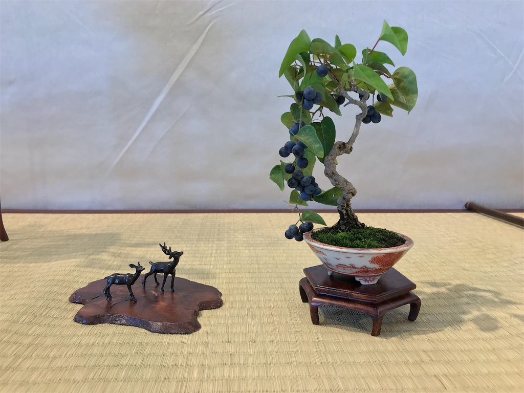 f:id:bonsaichie:20181007095115j:image f:id:bonsaichie:20181007095115j:image