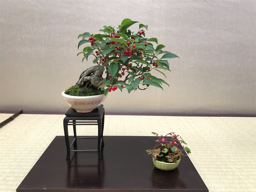 f:id:bonsaichie:20181007095124j:image f:id:bonsaichie:20181007095124j:image