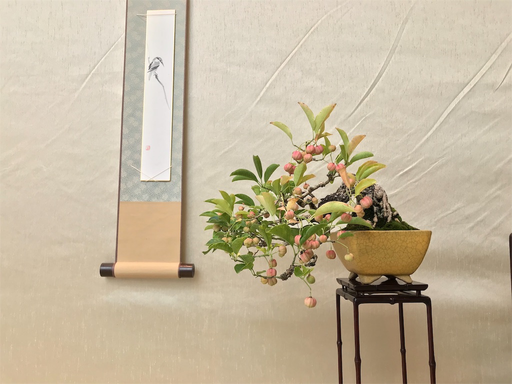 f:id:bonsaichie:20181007095128j:image f:id:bonsaichie:20181007095128j:image