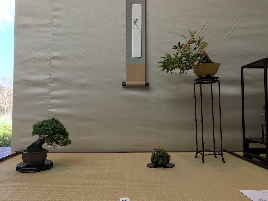 f:id:bonsaichie:20181007095131j:image f:id:bonsaichie:20181007095131j:image