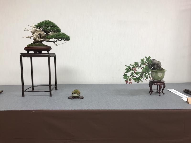 f:id:bonsaichie:20181021220152j:plain
