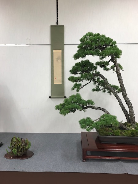 f:id:bonsaichie:20181021220305j:plain