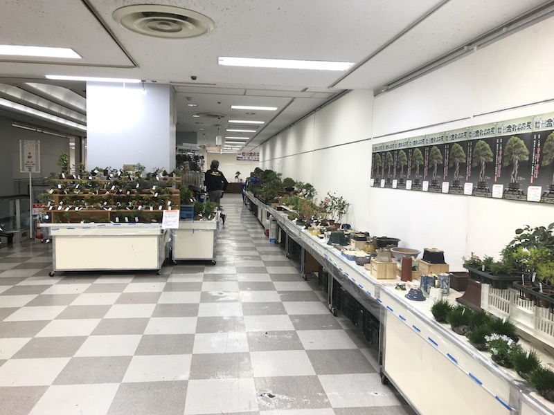 f:id:bonsaichie:20181021221413j:plain