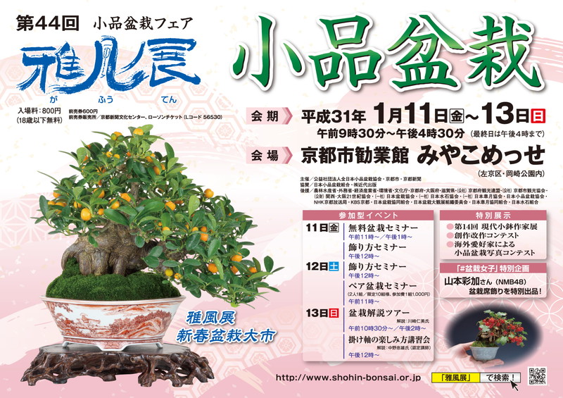 f:id:bonsaichie:20190101031631j:plain