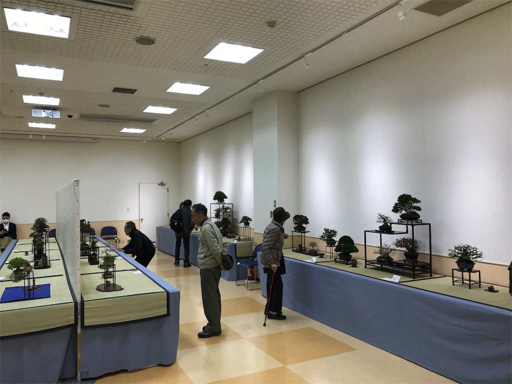f:id:bonsaichie:20190301160413j:image f:id:bonsaichie:20190301160413j:image