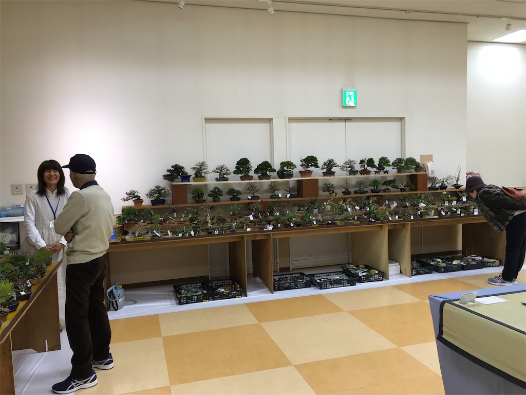 f:id:bonsaichie:20190301160417j:image f:id:bonsaichie:20190301160417j:image