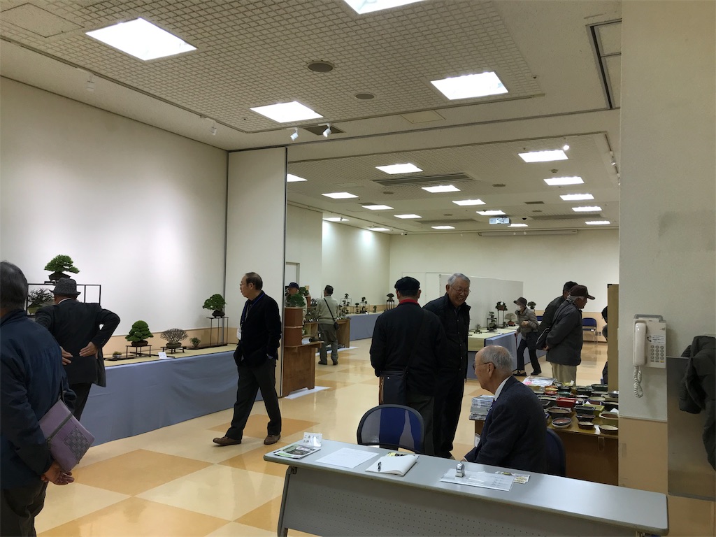 f:id:bonsaichie:20190301160421j:image f:id:bonsaichie:20190301160421j:image