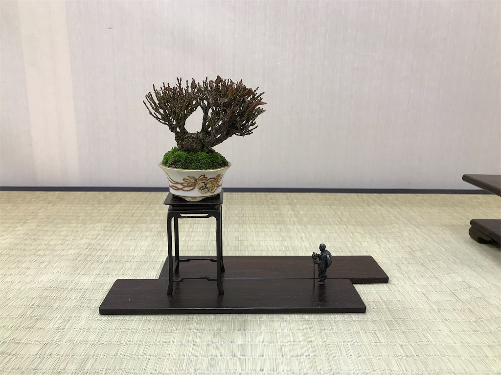 f:id:bonsaichie:20190301160640j:image f:id:bonsaichie:20190301160640j:image