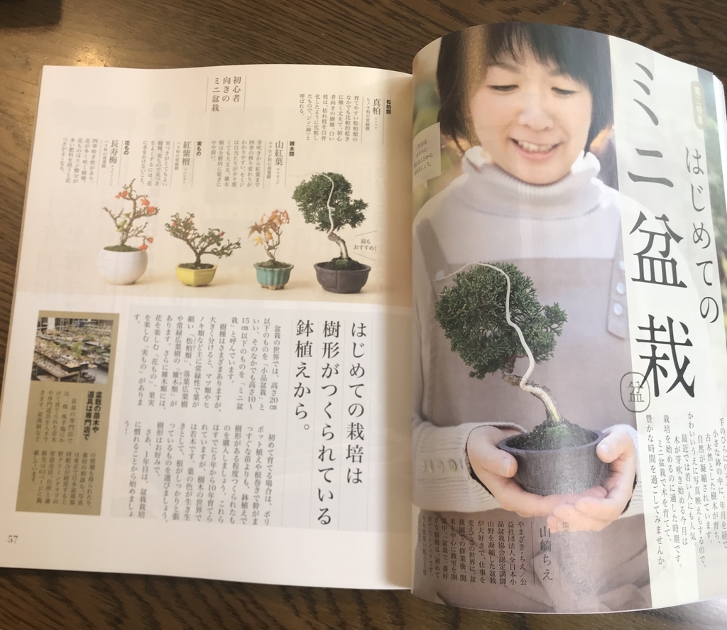f:id:bonsaichie:20190307184433j:plain f:id:bonsaichie:20190307184433j:plain