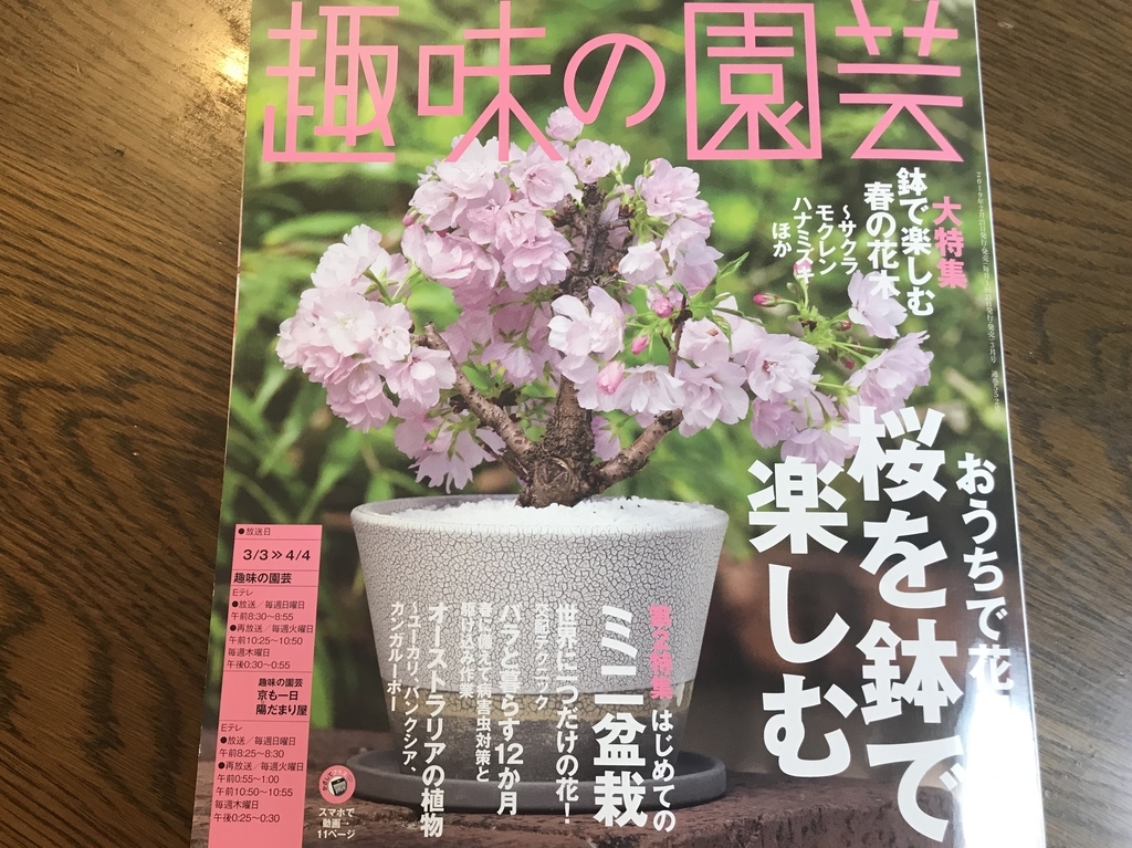 f:id:bonsaichie:20190307184444j:plain f:id:bonsaichie:20190307184444j:plain