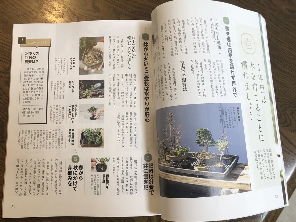 f:id:bonsaichie:20190307184455j:plain f:id:bonsaichie:20190307184455j:plain