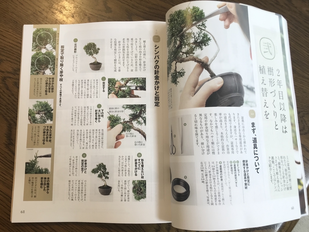 f:id:bonsaichie:20190307184514j:plain f:id:bonsaichie:20190307184514j:plain