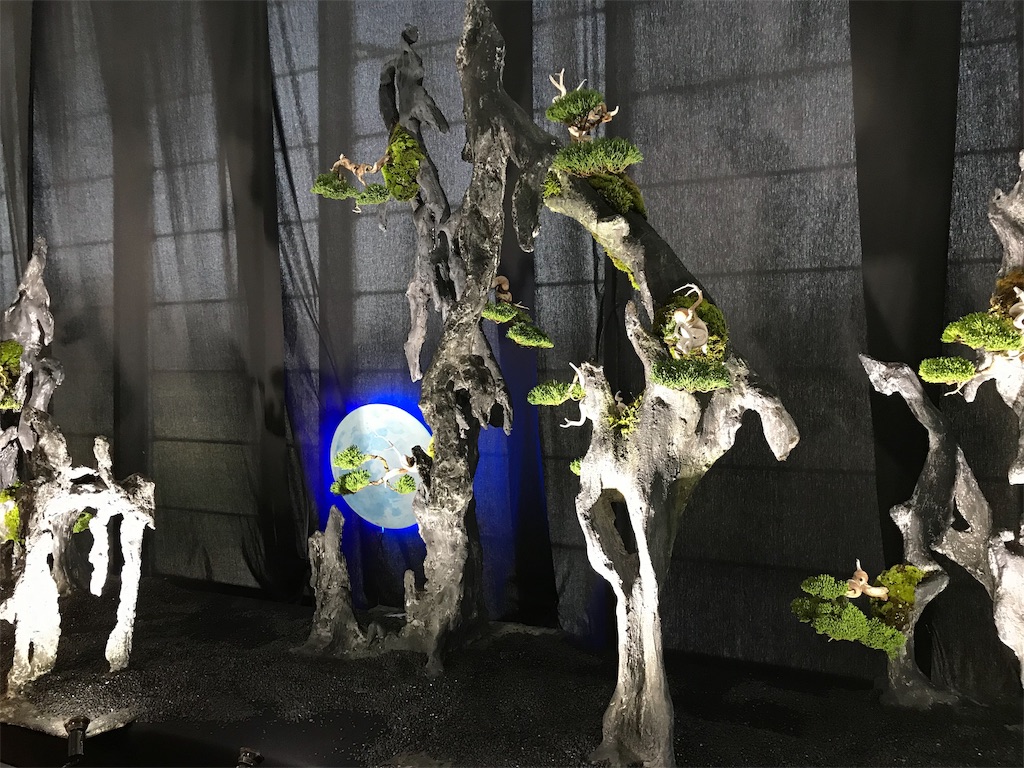 f:id:bonsaichie:20190324104436j:image f:id:bonsaichie:20190324104436j:image